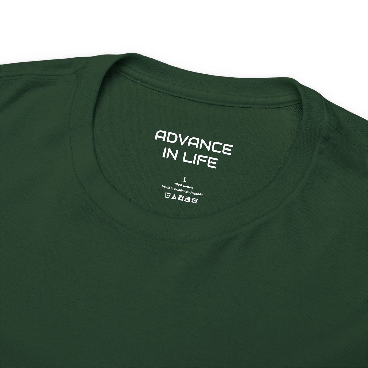 ADVANCE IN LIFE - Small Logo